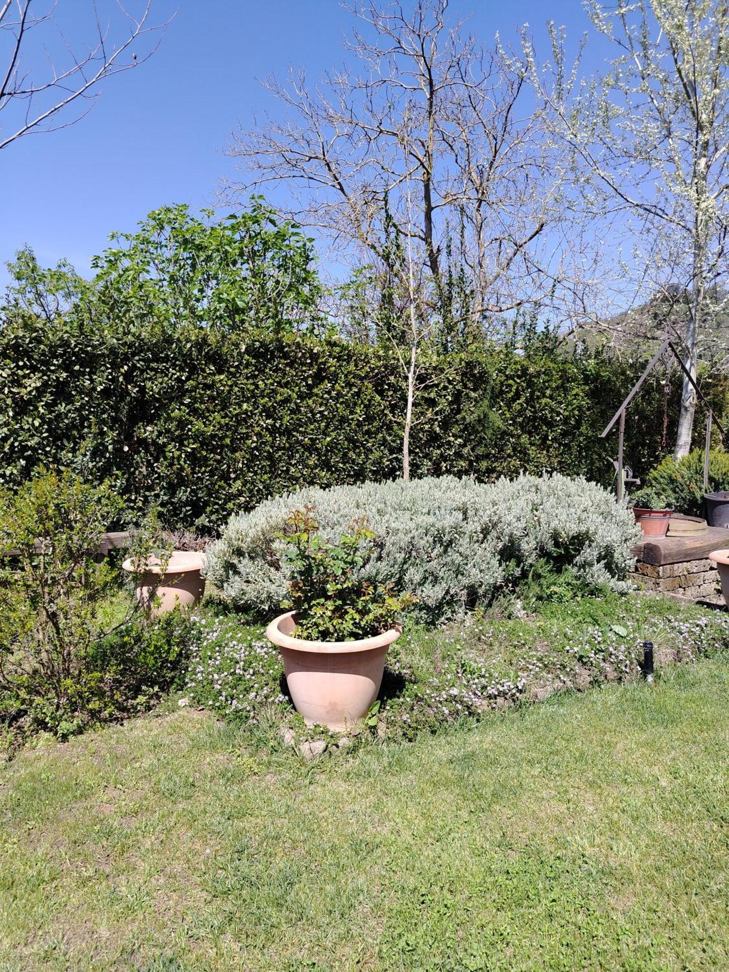 Guest House Romana Vecchia Monticchio  Exteriör bild